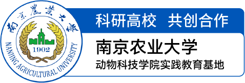 图片展示