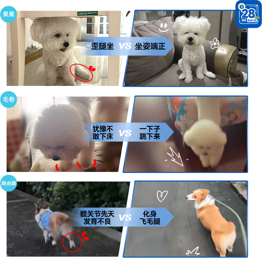 图片展示