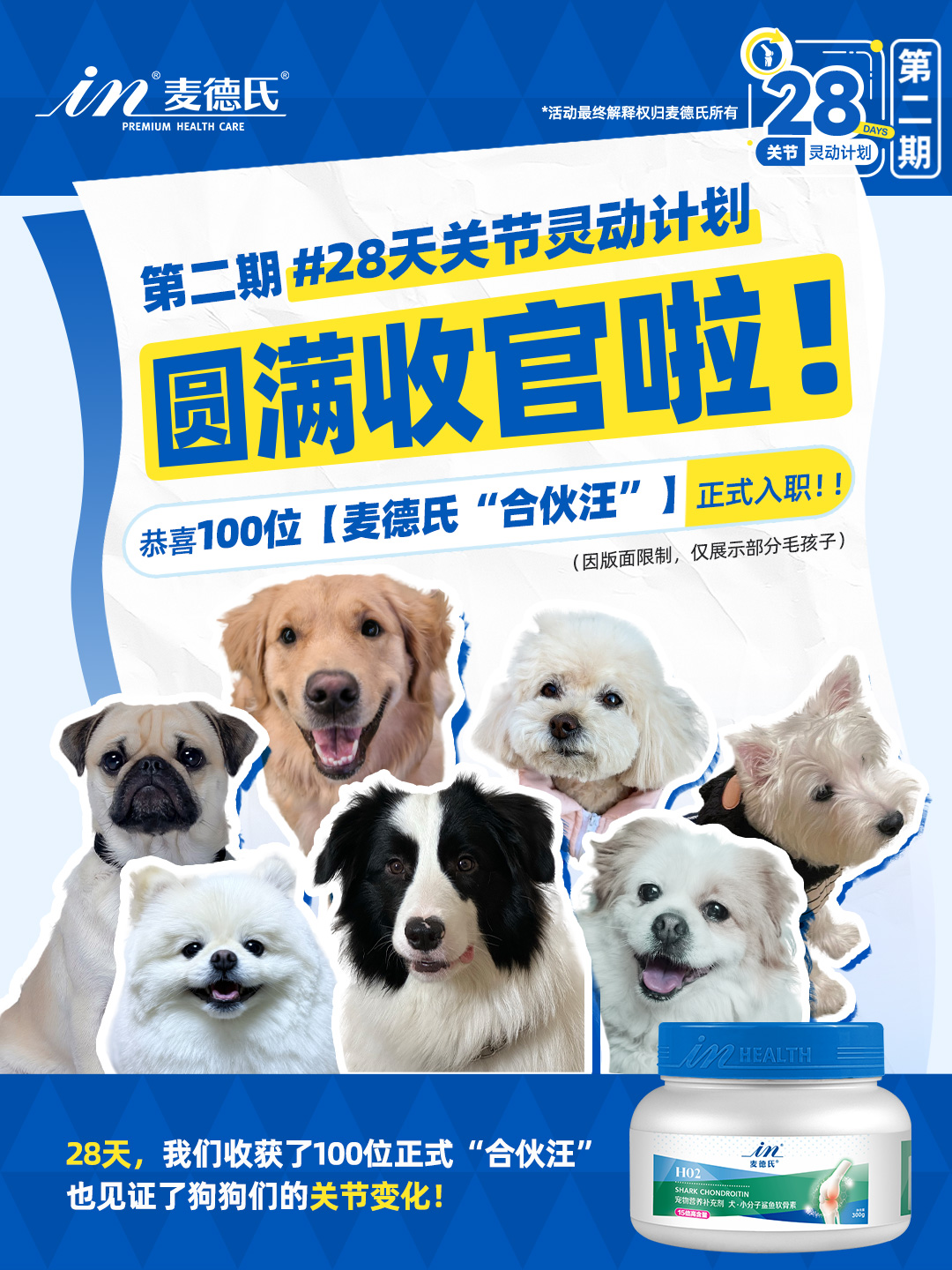 28天关节灵动计划