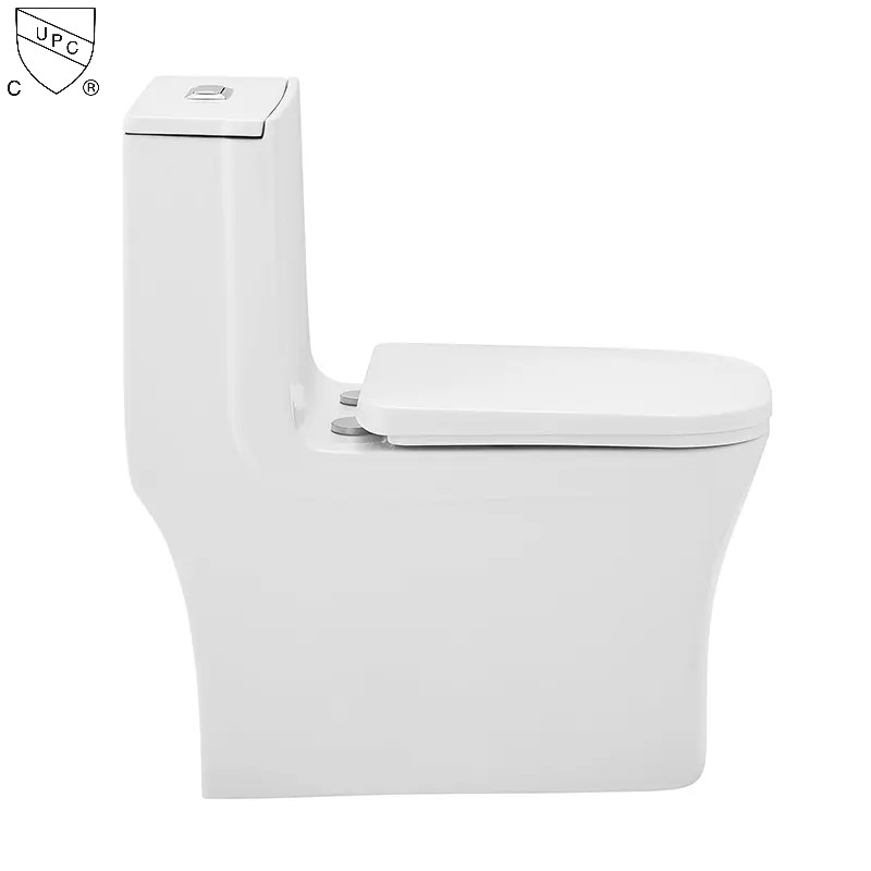 One piece toilet