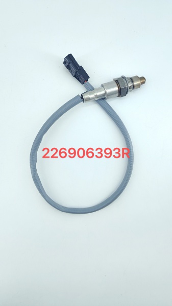 226906393R