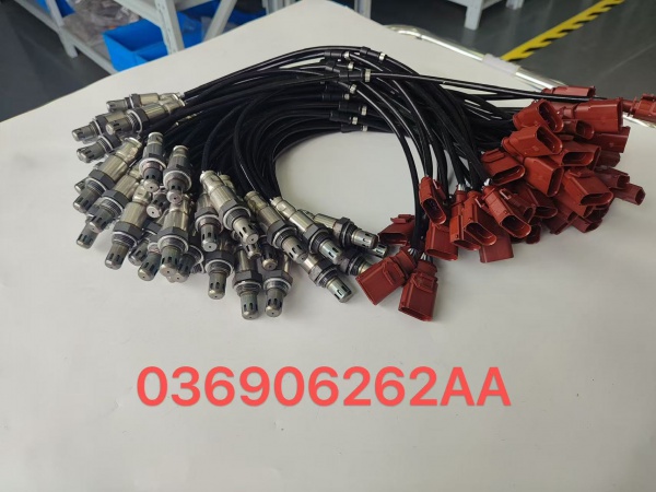 036906262AA 