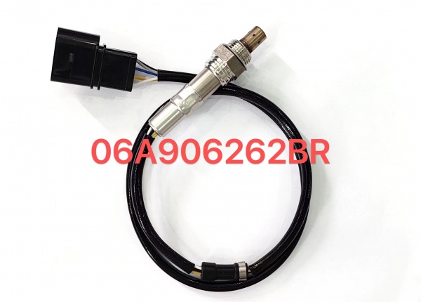 06A906262BR