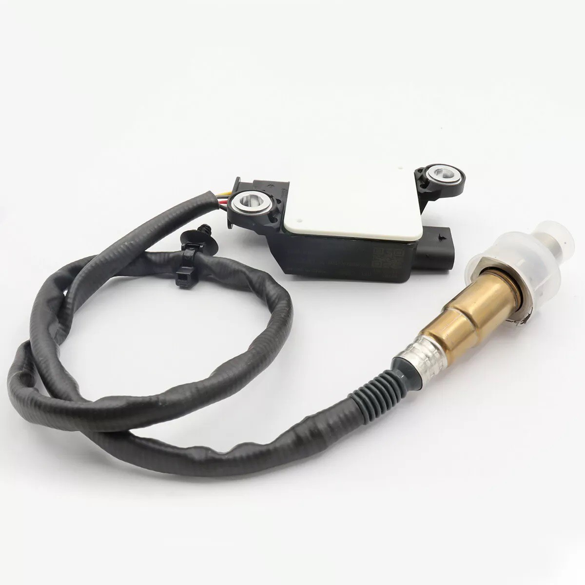 A0009058602   0281006375  