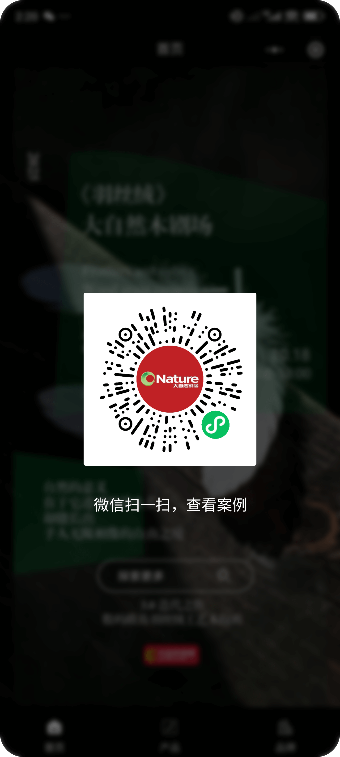 图片展示
