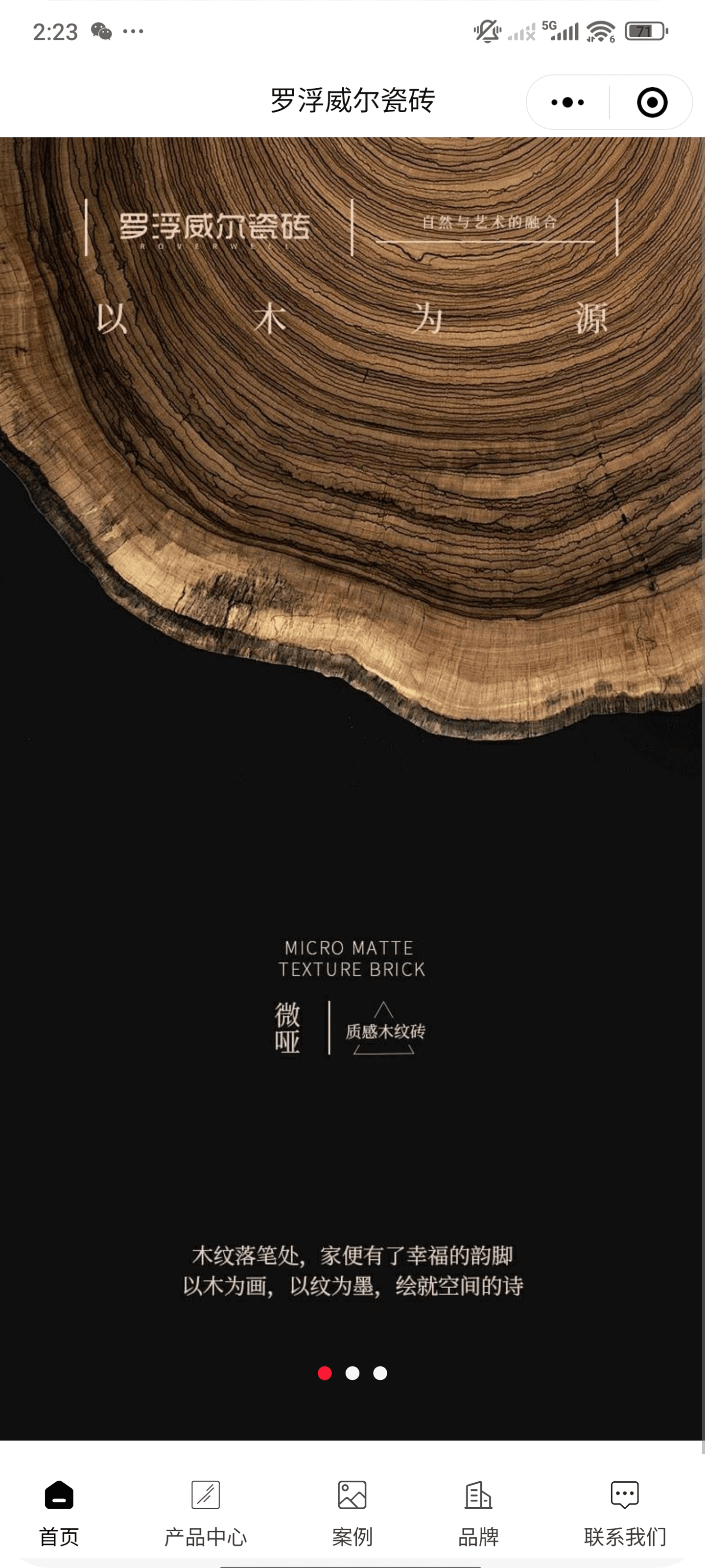 图片展示