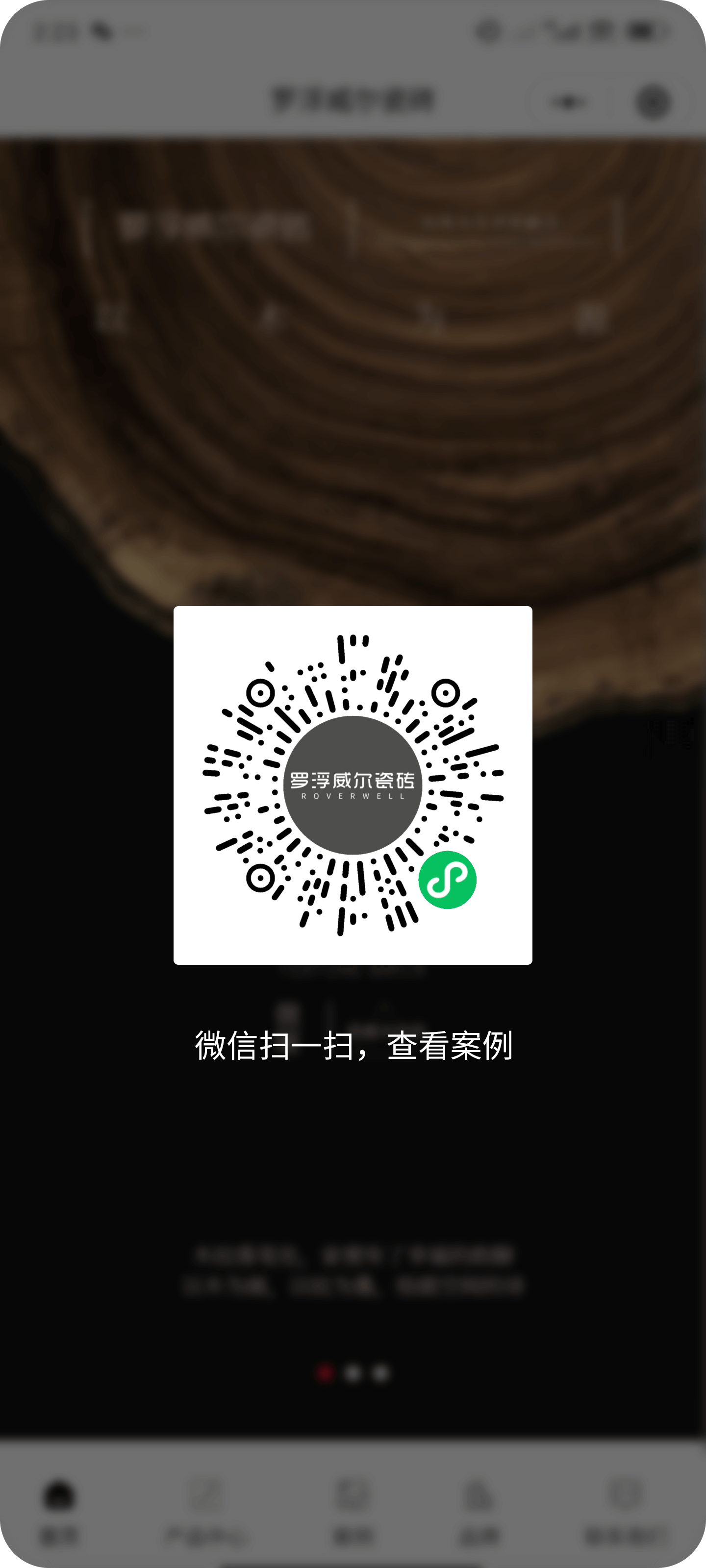 图片展示
