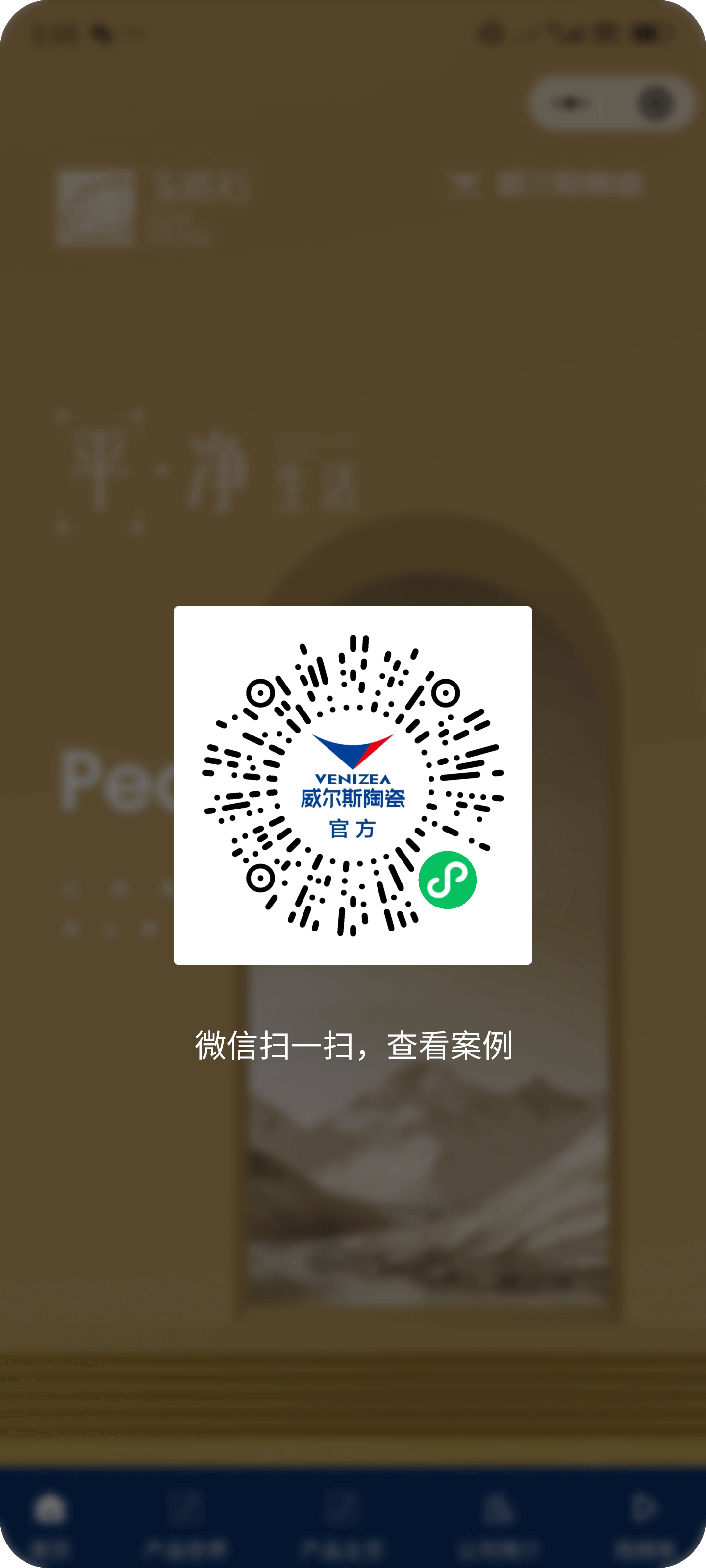 图片展示