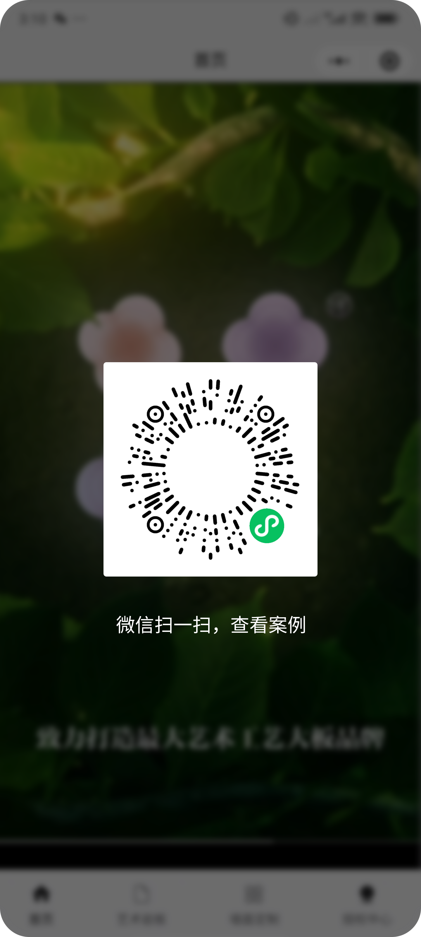 图片展示