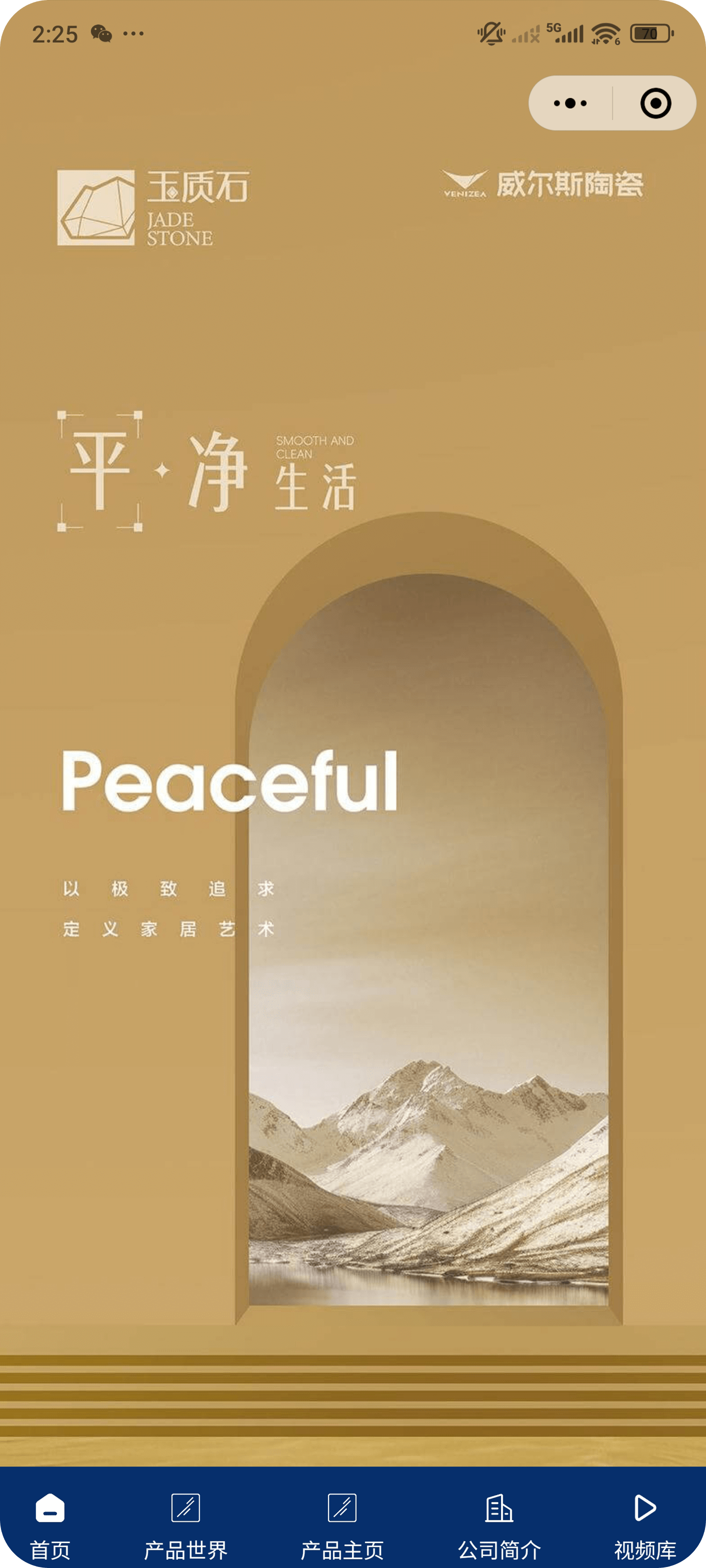 图片展示
