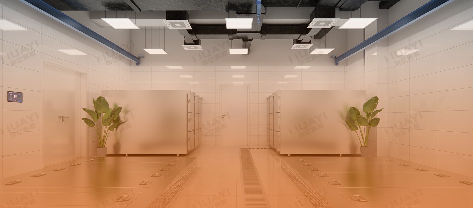图片展示