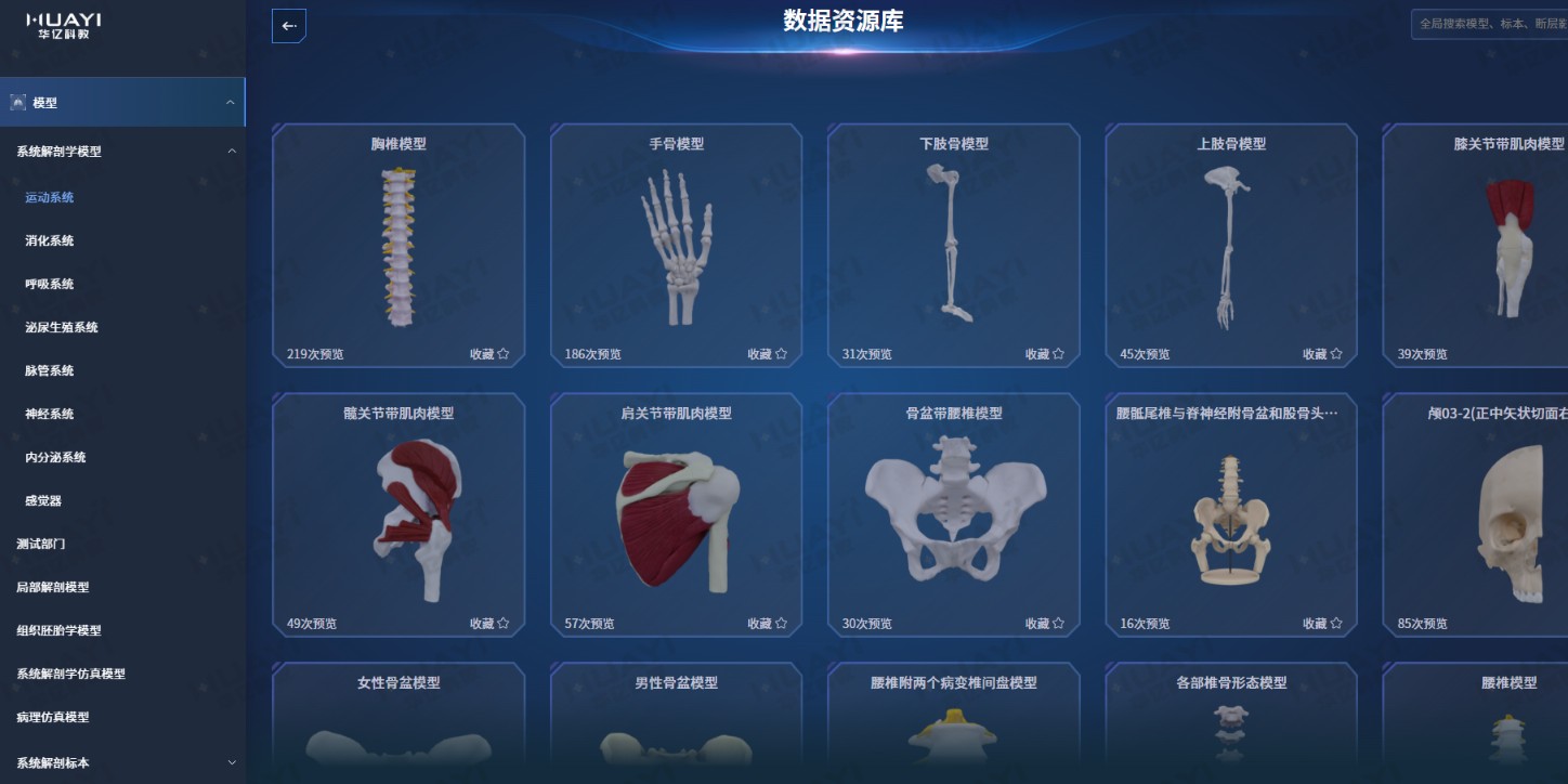 图片展示