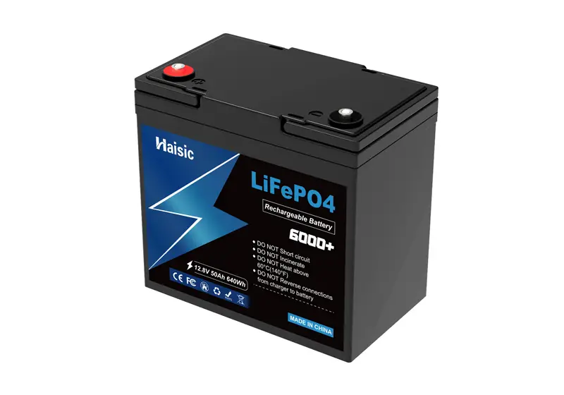 The Powerhouse of Energy Storage: Exploring the 48 Volt LiFePO4 Battery
