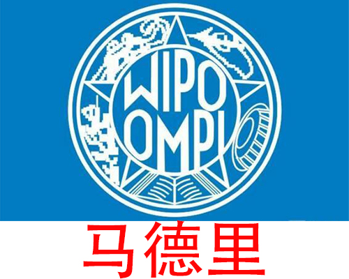 9、马德里和单一国家申请怎么选择？