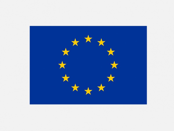 European Patent Application