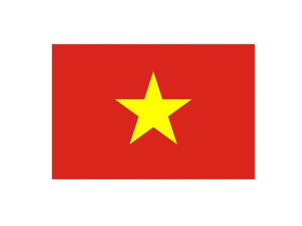 Vietnamese Patent Application