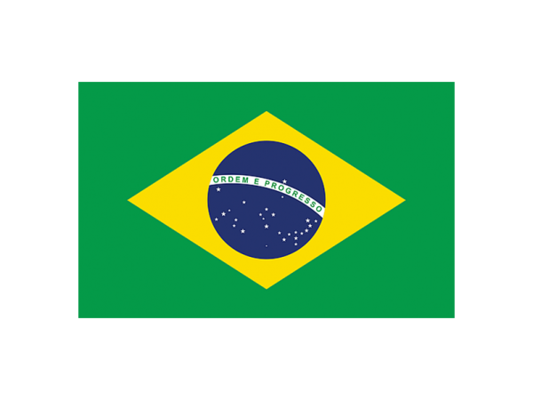 Brazilian Patent Application
