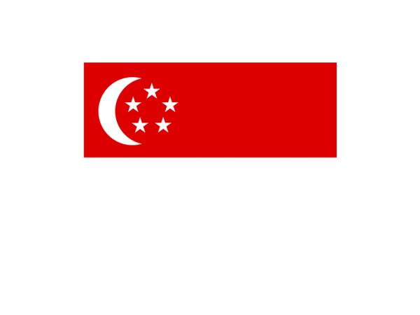 Singapore Patent Application