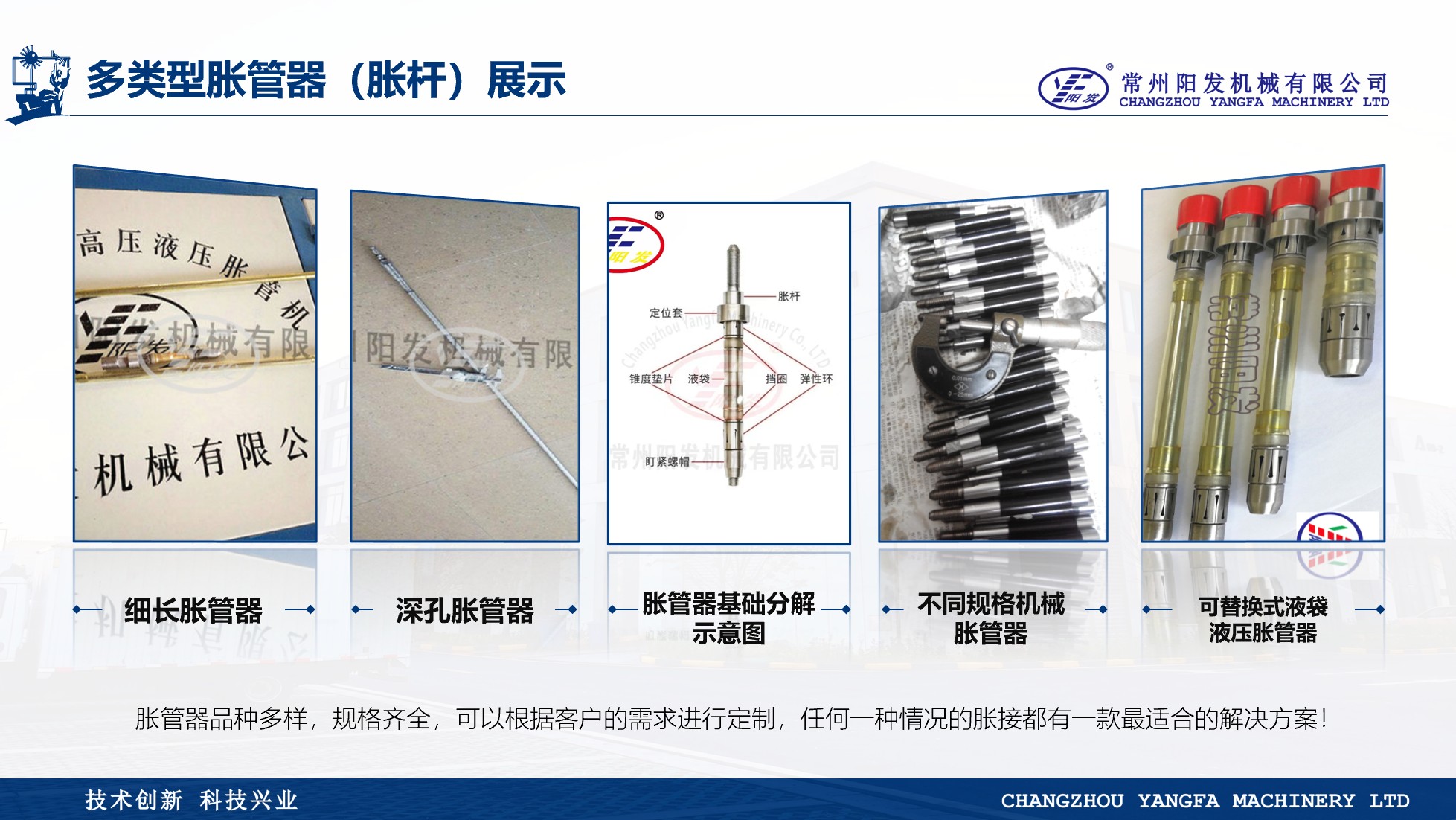图片展示