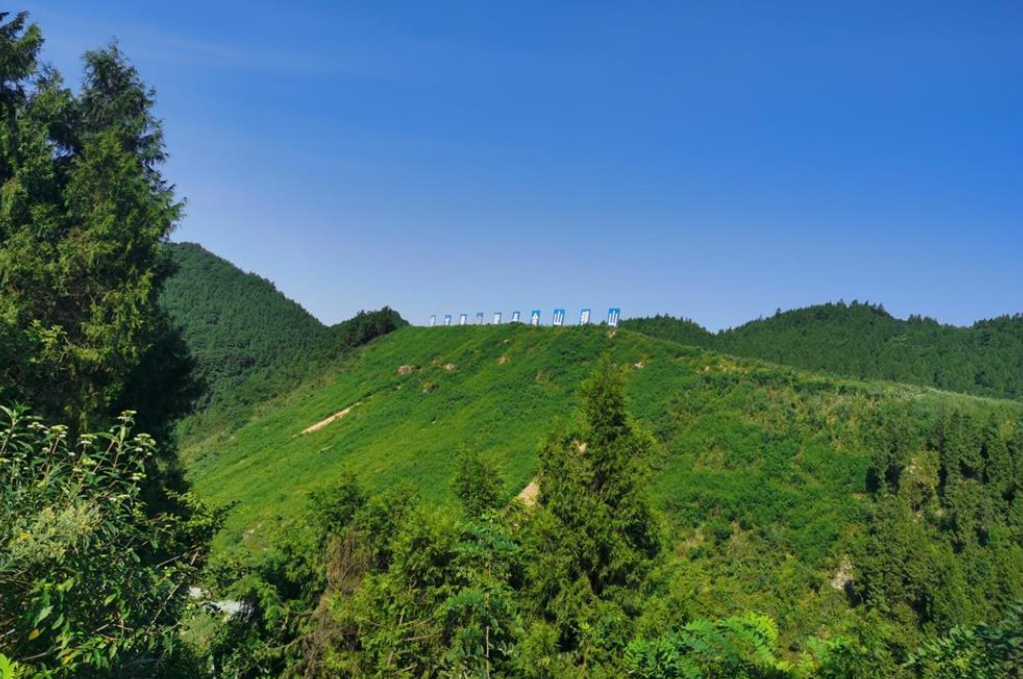 这座矿山，越采越绿