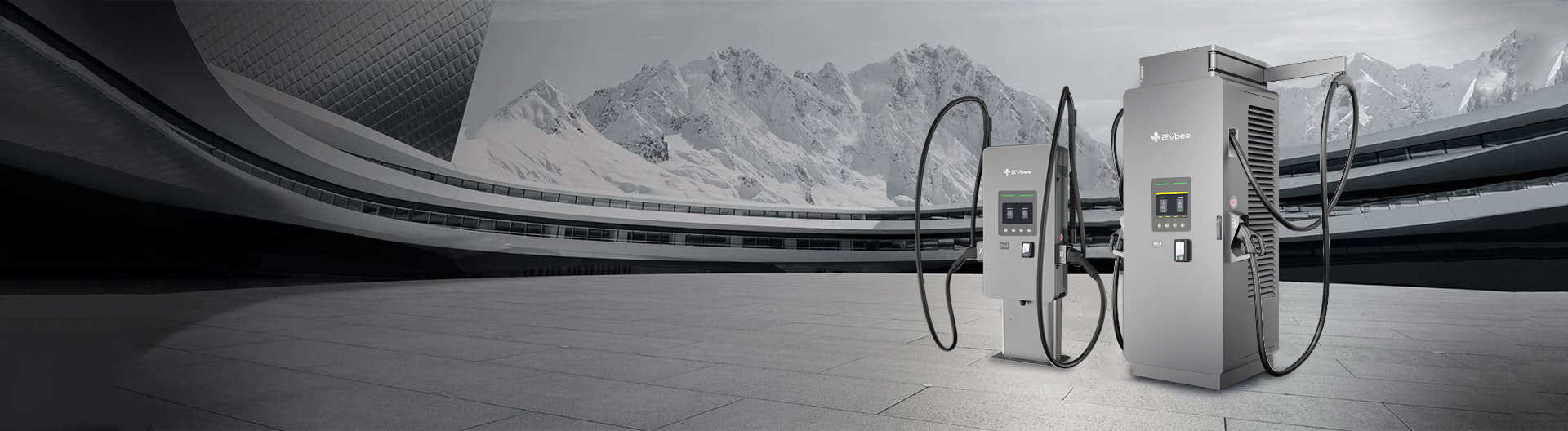 图片展示