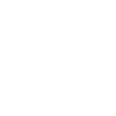 ins