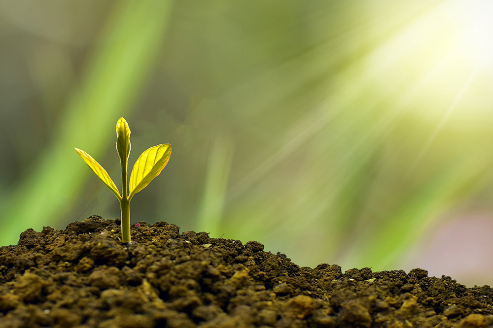 Deepen Greening Actions to Let Greenery Permeate Life