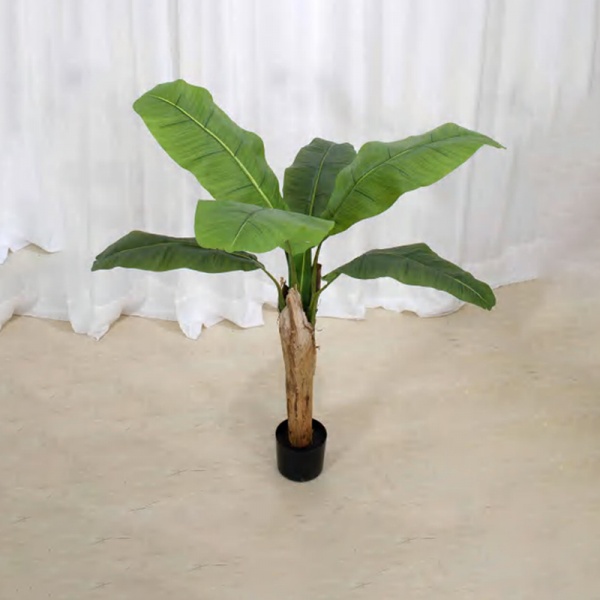 Banana Tree