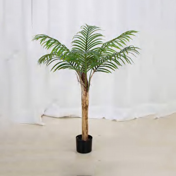 Thick—stemmed Palm A