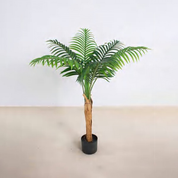 Thick—stemmed Palm B