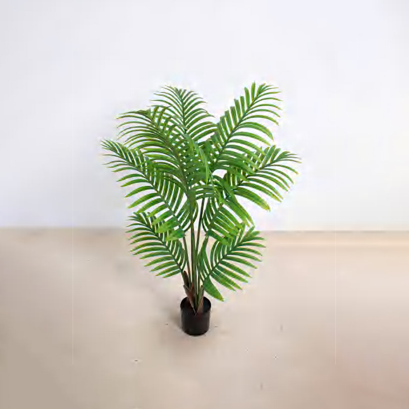 Royal Palm
