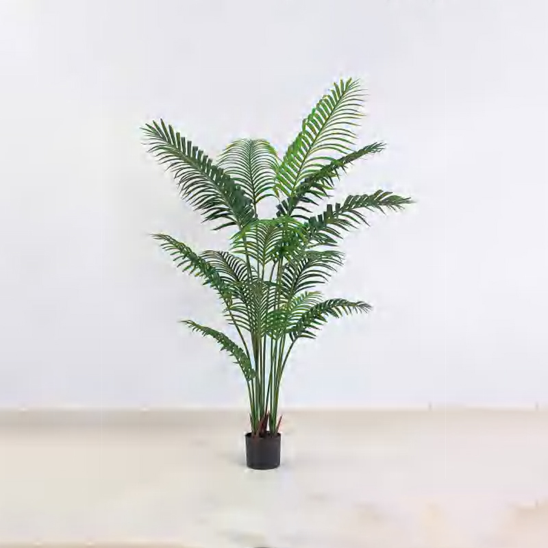 Royal Palm