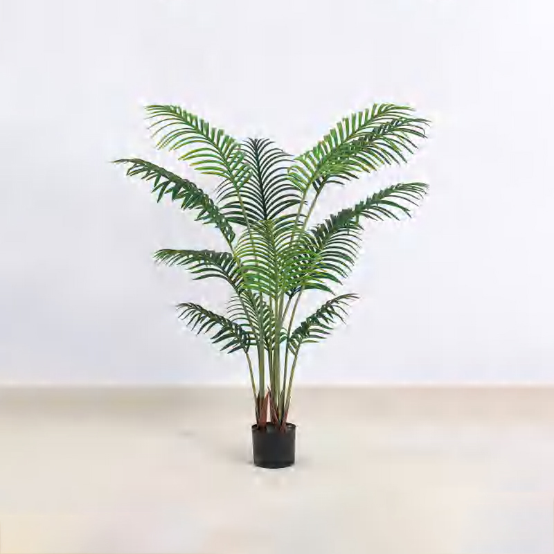 Royal Palm