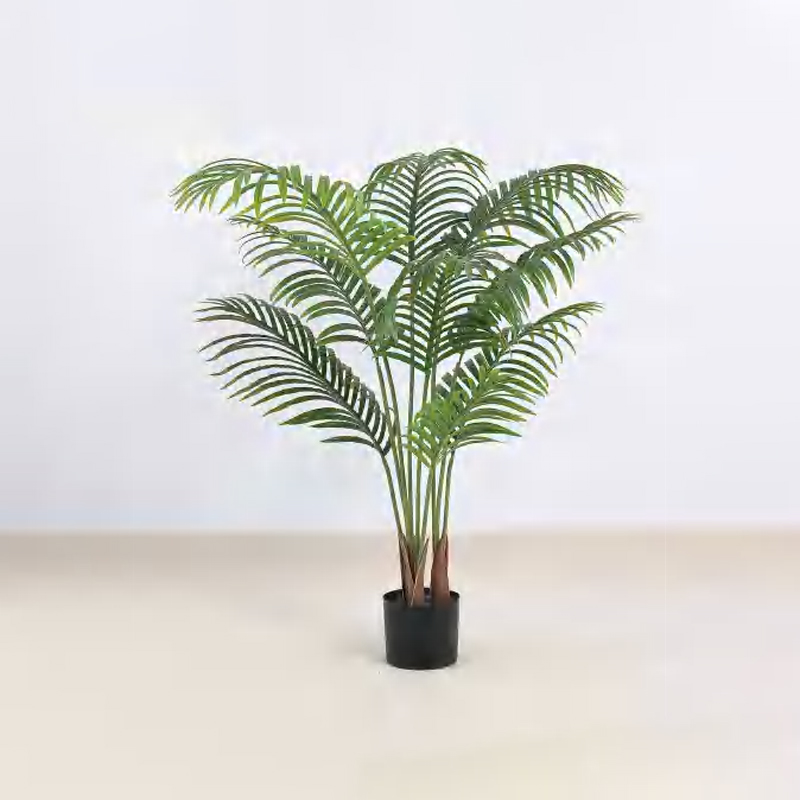 Royal Palm