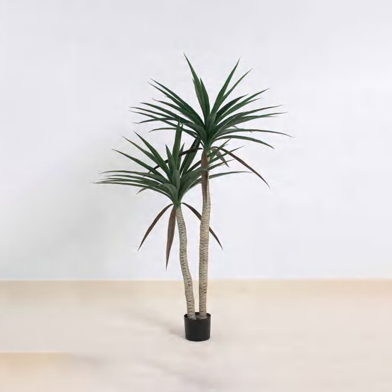 Sisal B