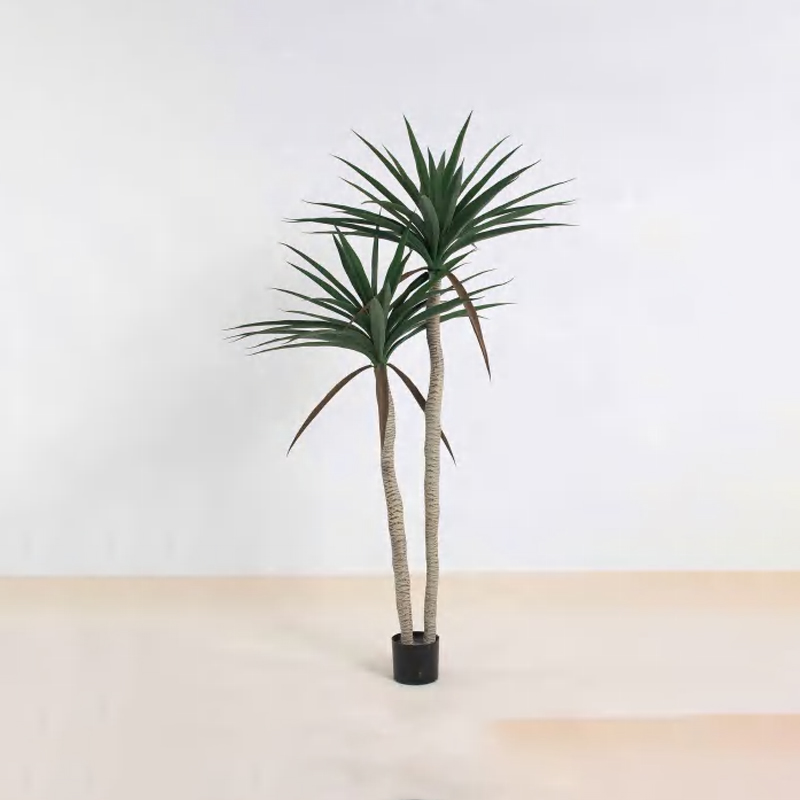 Sisal B