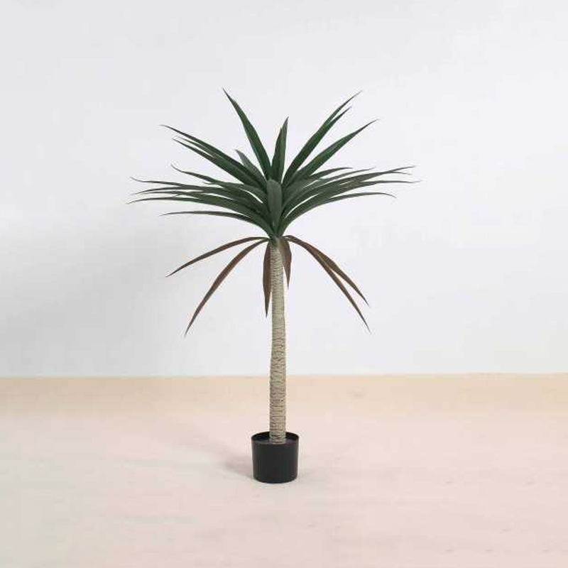 Sisal B