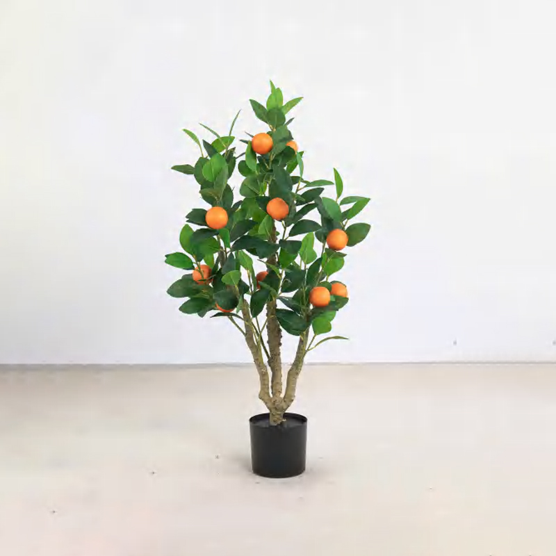 Orange Tree
