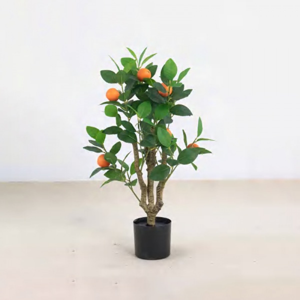 Orange Tree