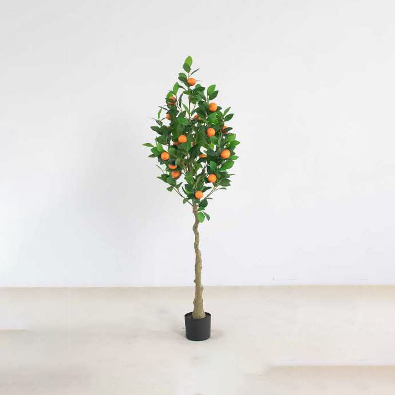 Orange Tree