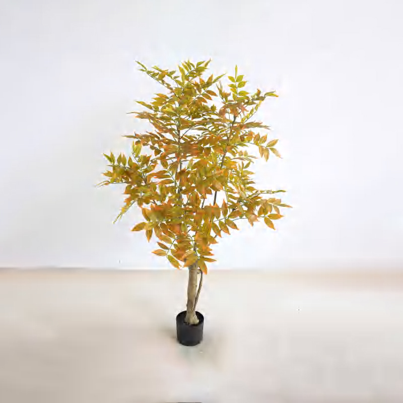 Lacquer Tree D