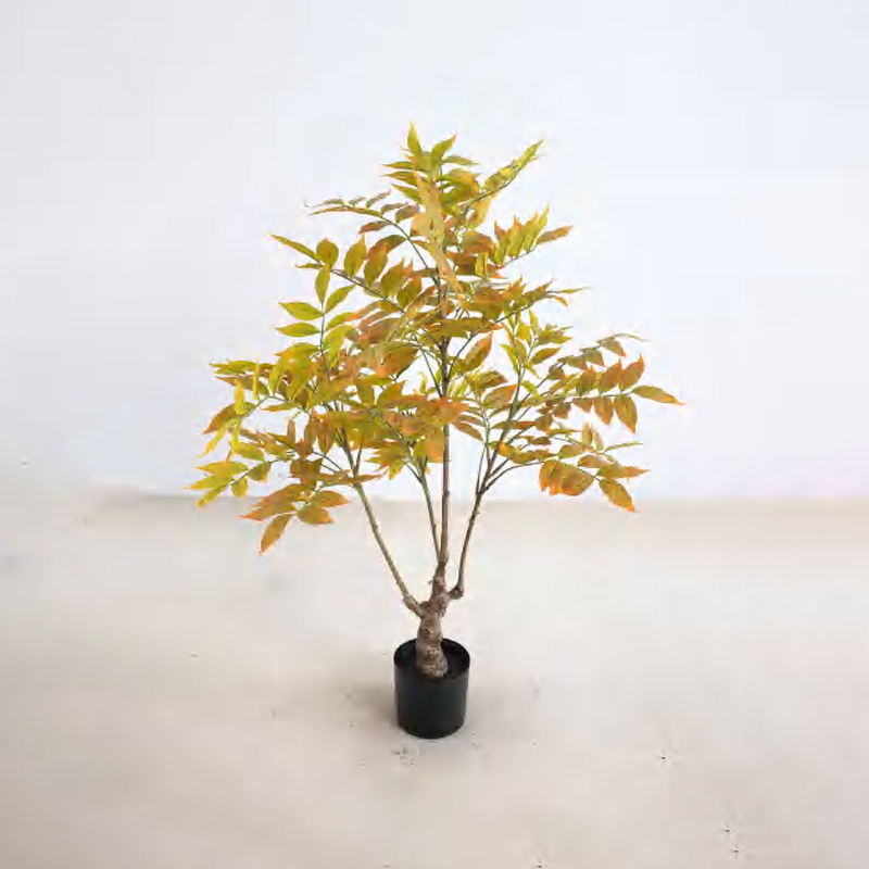 Lacquer Tree D