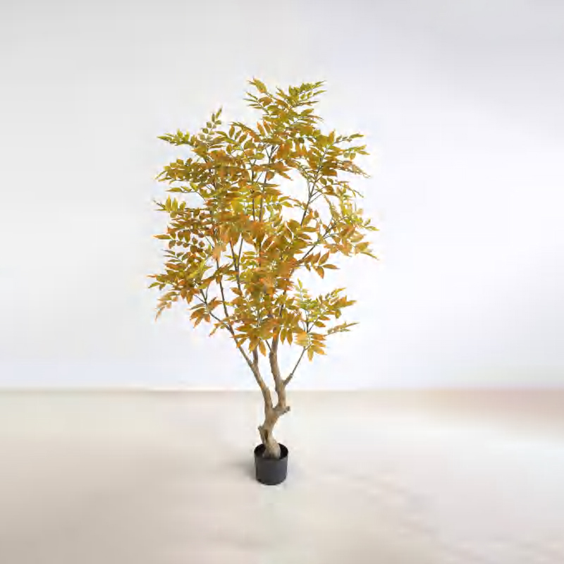 Lacquer Tree D