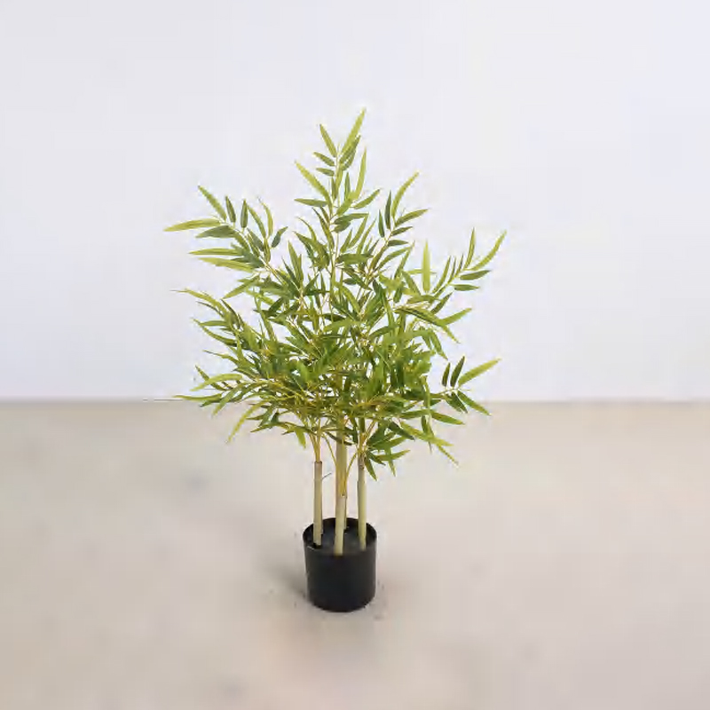 Bamboo Planter
