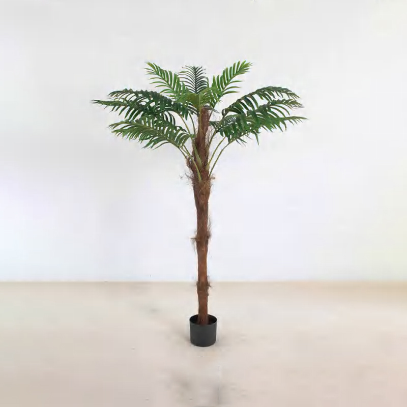 Brown-haired Palm B
