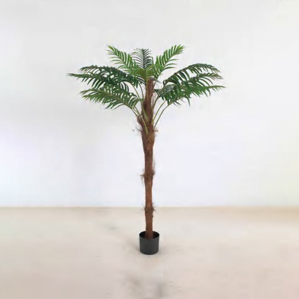 Brown-haired Palm B