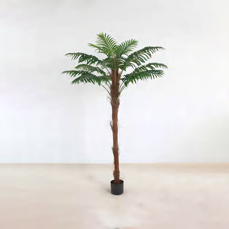 Brown-haired Palm B