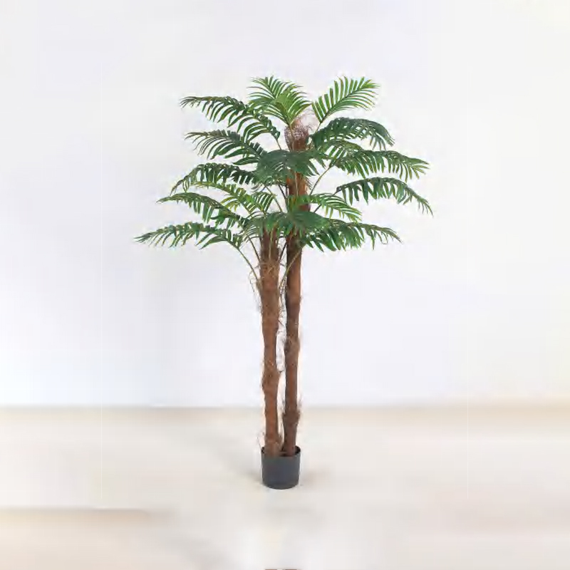 Brown-haired Palm B