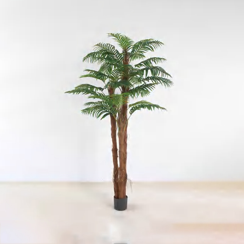 Brown-haired Palm B