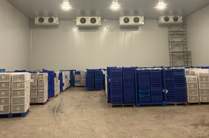 成都蔬菜水果冷库工程公司浅谈：安装果蔬冷库设计公司如何选？